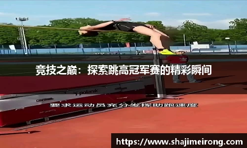 龙8国际